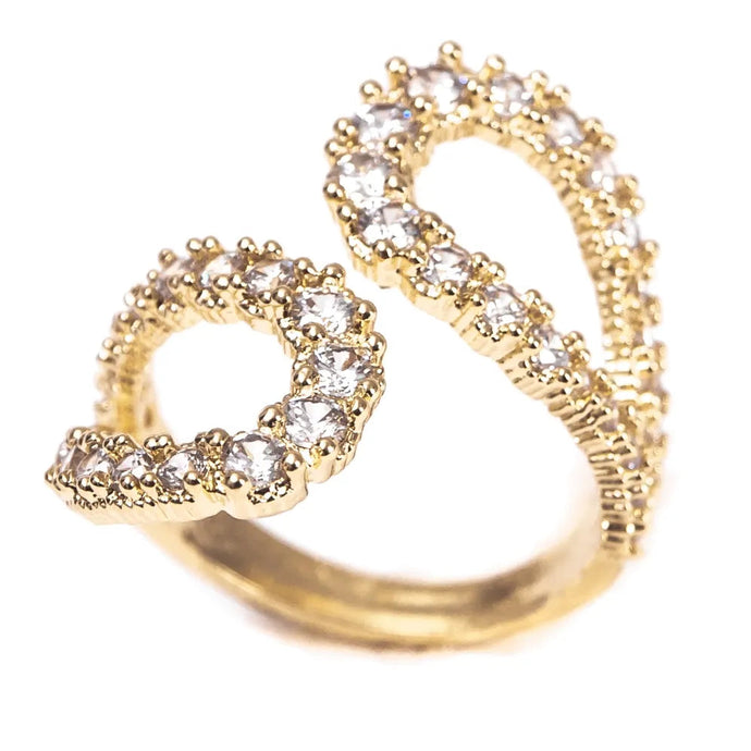 Anillo Curvas Circonitas