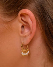 Cargar imagen en el visor de la galería, Arete Esferas Perlas
