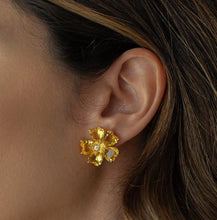 Cargar imagen en el visor de la galería, &lt;p&gt;Conjunto Pendiente con collar flor citrino en baño de oro 18k&lt;/p&gt; &lt;p&gt;&nbsp;pendiente presion flor.&lt;/p&gt; &lt;p&gt;Collar largo 70cm&lt;/p&gt; &lt;p&gt;Joyas sin niquel.&lt;/p&gt; &lt;p&gt;Garantia de 1 ano en su baño.&lt;/p&gt;
